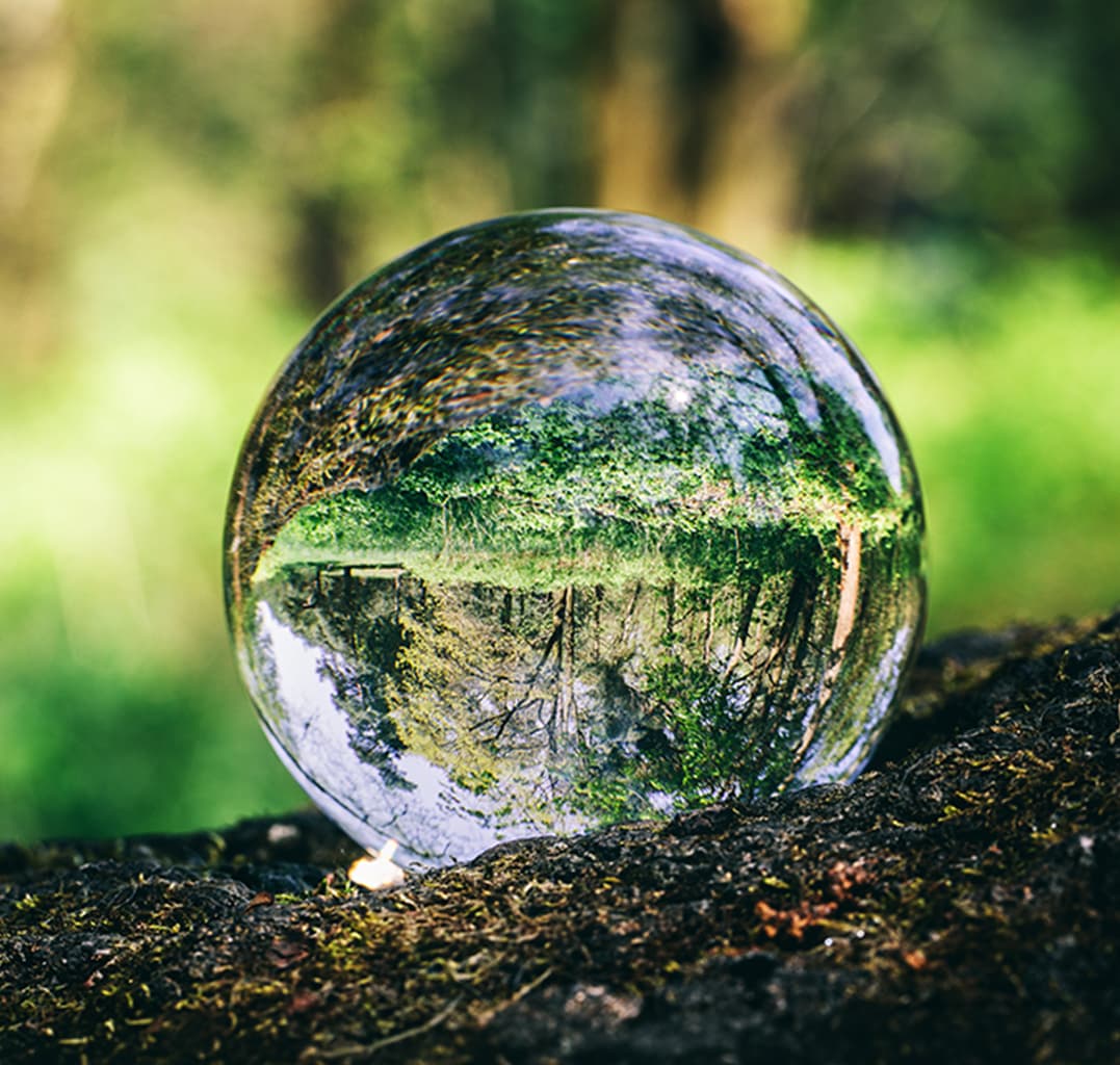 Compromisso com a sustentabilidade